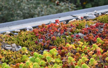 the cost of Fern Hill green roof installation