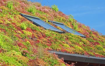 Fern Hill living roof systems