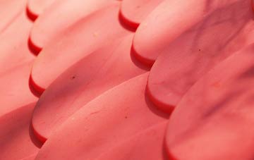 Fern Hill plastic roof costs