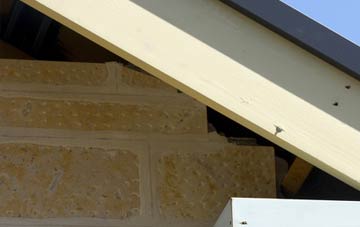 soffit repair Fern Hill