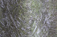 Fern Hill fibreglass roof work